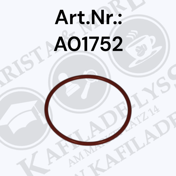 Rocket Boxer/R9 Dusche O-Ring; R9 Gruppenanschluss